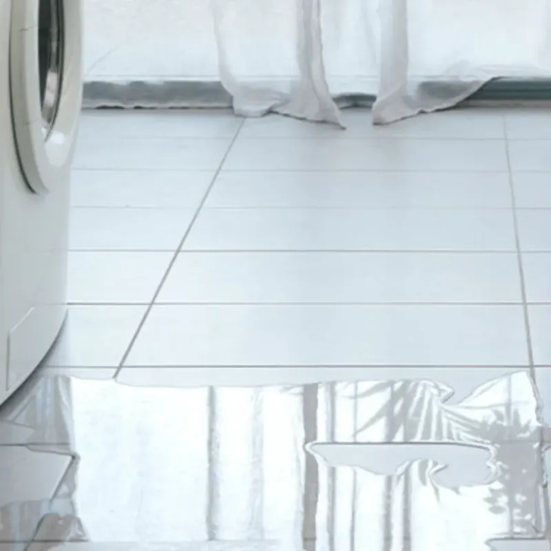 Appliance Leak Cleanup in Houck, AZ